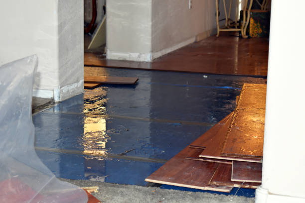 Professional Emergency Water Damage Restoration technician working in Losantville, IN